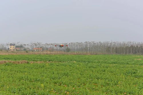 人勤春來(lái)早 荊州區(qū)農(nóng)業(yè)科技服務(wù)春耕備耕