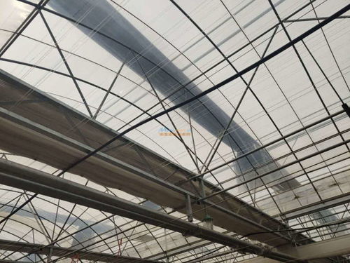 海榮模塊溫室報(bào)價(jià) 山東專業(yè)的海榮模塊溫室 壽光市隆農(nóng)大棚保溫材料廠