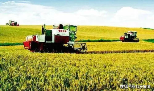 和辰咨詢(xún) 中央撥款45億 托管農(nóng)業(yè) 上升為國(guó)家重點(diǎn)支持項(xiàng)目