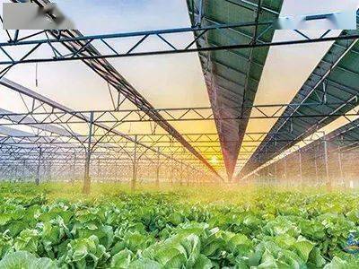 現(xiàn)代種業(yè)、鄉(xiāng)村新型服務(wù)業(yè)&hellip;國(guó)家鄉(xiāng)村振興局鼓勵(lì)社會(huì)資本投資這些涉農(nóng)產(chǎn)業(yè)!