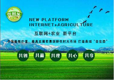 &ldquo;互聯網+&rdquo;優秀案例:&ldquo;在村頭&rdquo;益農信息社電商平臺