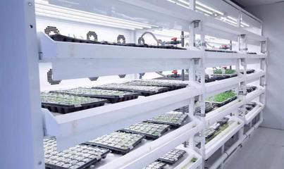 我在農創等你來丨宋娜:雙向奔赴謀發展,同頻共振向未來