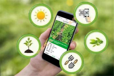 加快數(shù)字化發(fā)展的四個(gè)維度