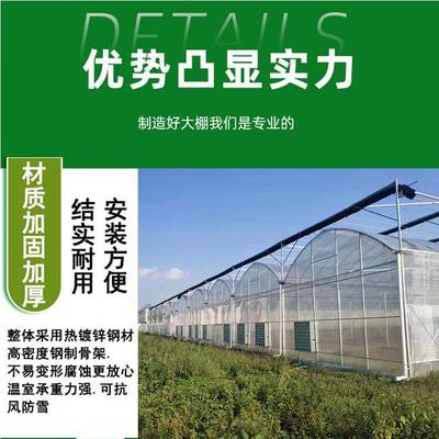 中科 透氣 一站式服務 外遮陽系統(tǒng) 擋風擋雪 獨棟溫室大棚定做