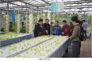 江門市農(nóng)業(yè)科技創(chuàng)新中心組團赴省農(nóng)業(yè)科學院 取經(jīng)