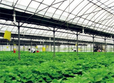 未來農(nóng)業(yè)發(fā)展趨勢--互聯(lián)網(wǎng)+生態(tài)農(nóng)業(yè)