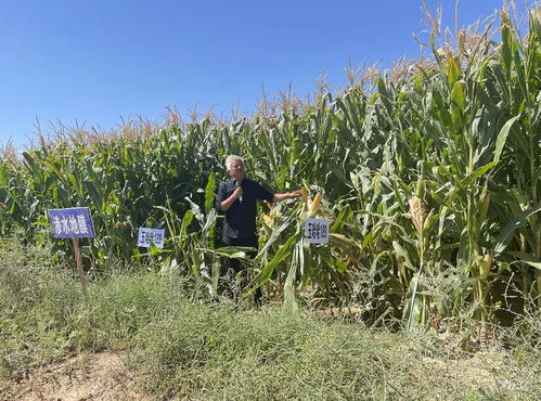 縣發(fā)改科技局開展農(nóng)業(yè)科技試驗示范成果觀摩暨特派員交流學習現(xiàn)場會