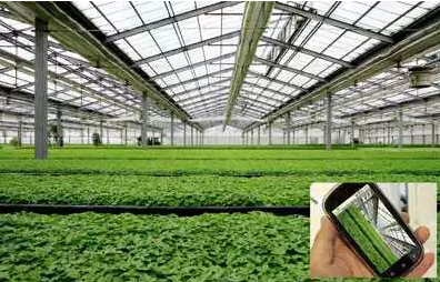 關于智慧農(nóng)業(yè),農(nóng)業(yè)部準備這么干!(有補貼哦~)