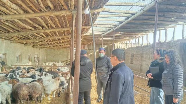 市林草局:提高農(nóng)業(yè)科技服務水平 加快科技成果轉化