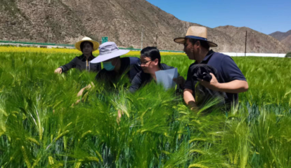 提升創(chuàng)新能力 推動成果轉(zhuǎn)化--州農(nóng)技站2022年度&ldquo;三區(qū)&rdquo;科技服務(wù)工作紀(jì)實(shí)