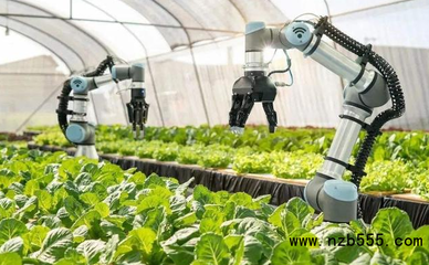 中國(guó)智慧農(nóng)業(yè):政策的寵兒,但還是處于初級(jí)階段,未來(lái)如何躍遷