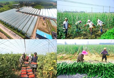 湖北領尚:插上科技翅膀 助力鄉(xiāng)村振興