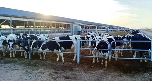 農發(fā)行金昌市分行推動農業(yè)科技加速轉化