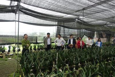 助推鄉村振興:九三學社廣東省委到肇專題深調研