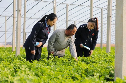 稅引擎 驅(qū)動(dòng)智慧農(nóng)業(yè)展開(kāi) 豐收 畫(huà)卷 央廣網(wǎng)