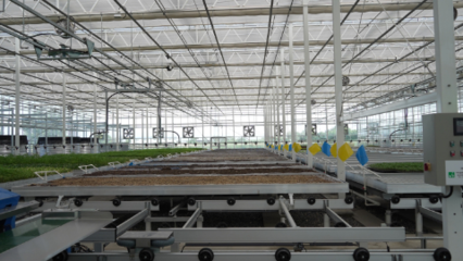 科技賦能 助力未來(lái)農(nóng)業(yè)高質(zhì)量發(fā)展--走進(jìn)新疆農(nóng)業(yè)博覽園