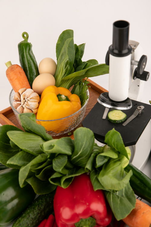 甜椒上海青食品安全農(nóng)業(yè)科技食品培育攝影圖 插畫(huà) 下載至來(lái)源處