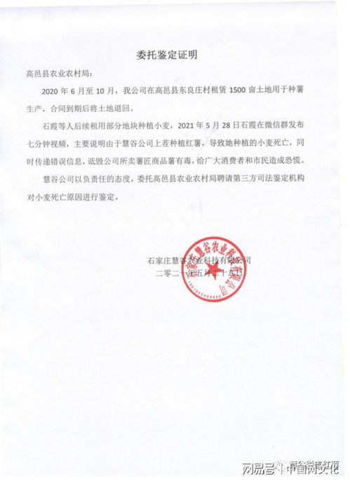 河北1500畝土地種 毒紅薯 致小麥絕收 涉事公司 嚴(yán)重不實(shí)