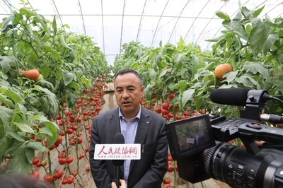 深耕研發(fā) 孕育希望——壽光市政協(xié)委員劉樹森的“種業(yè)夢”與農(nóng)業(yè)科技服務(wù)