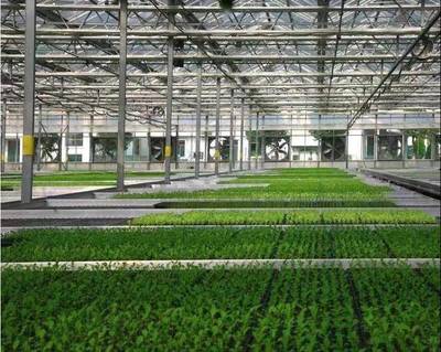 張兵書記調(diào)研湘家蕩農(nóng)業(yè)數(shù)字化工廠，助力農(nóng)民豐收節(jié)農(nóng)業(yè)科技服務(wù)